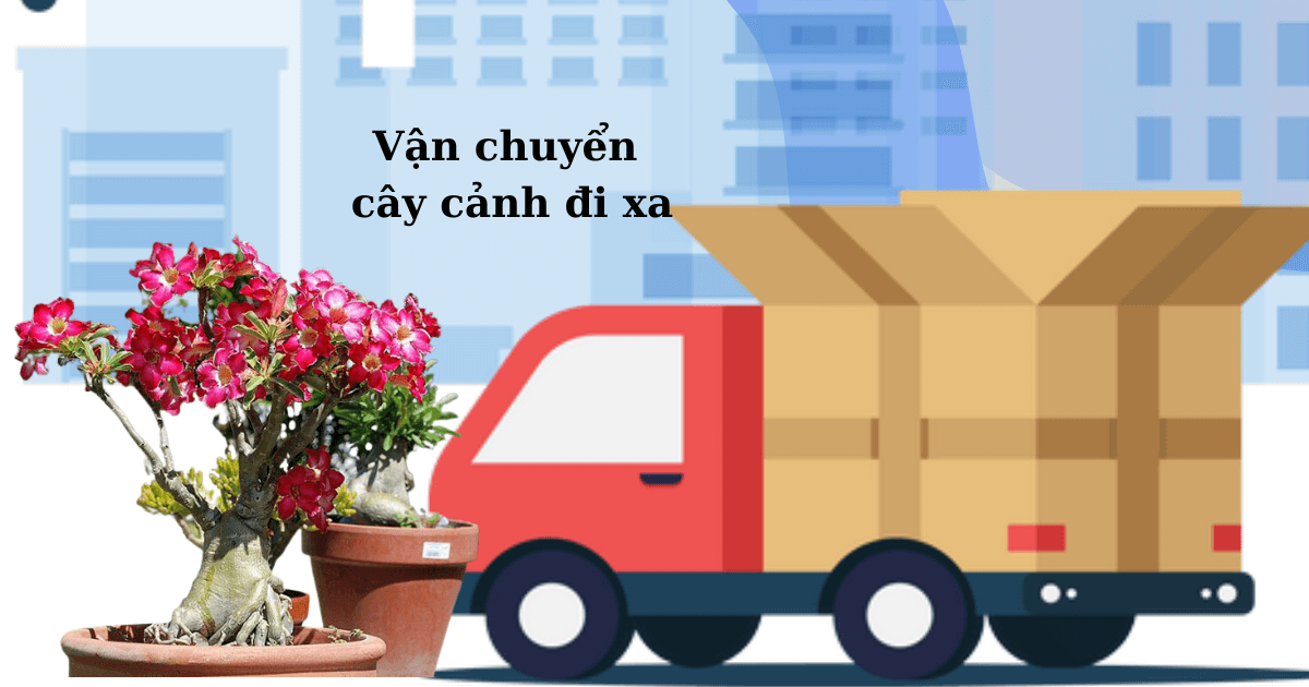 Cách vận chuyển cây cảnh đi xa 2